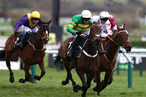 cheltenham champion hurdle odds